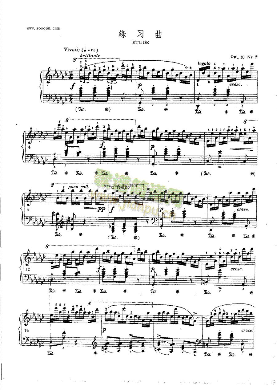练习曲OP.10  Nr5 键盘类 钢琴1