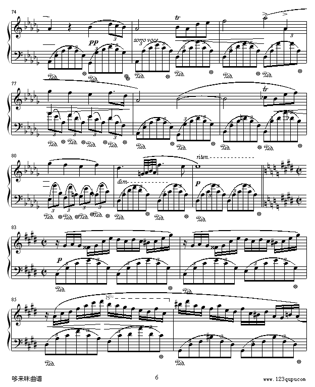 幻想即兴曲-滴漏打谱-肖邦6