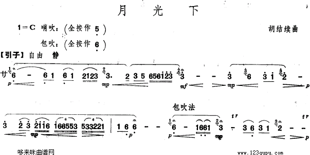 月光下1