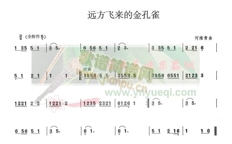 远方飞来的金孔雀1