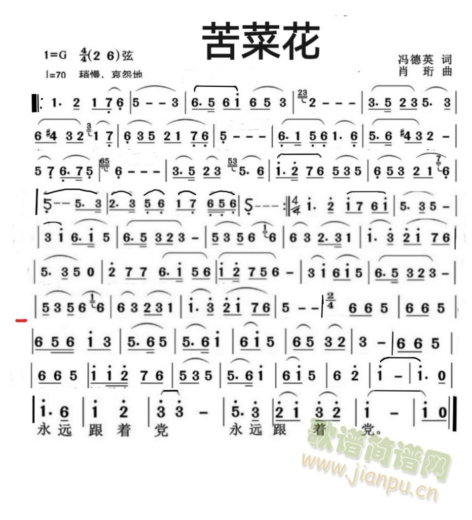 苦菜花.1