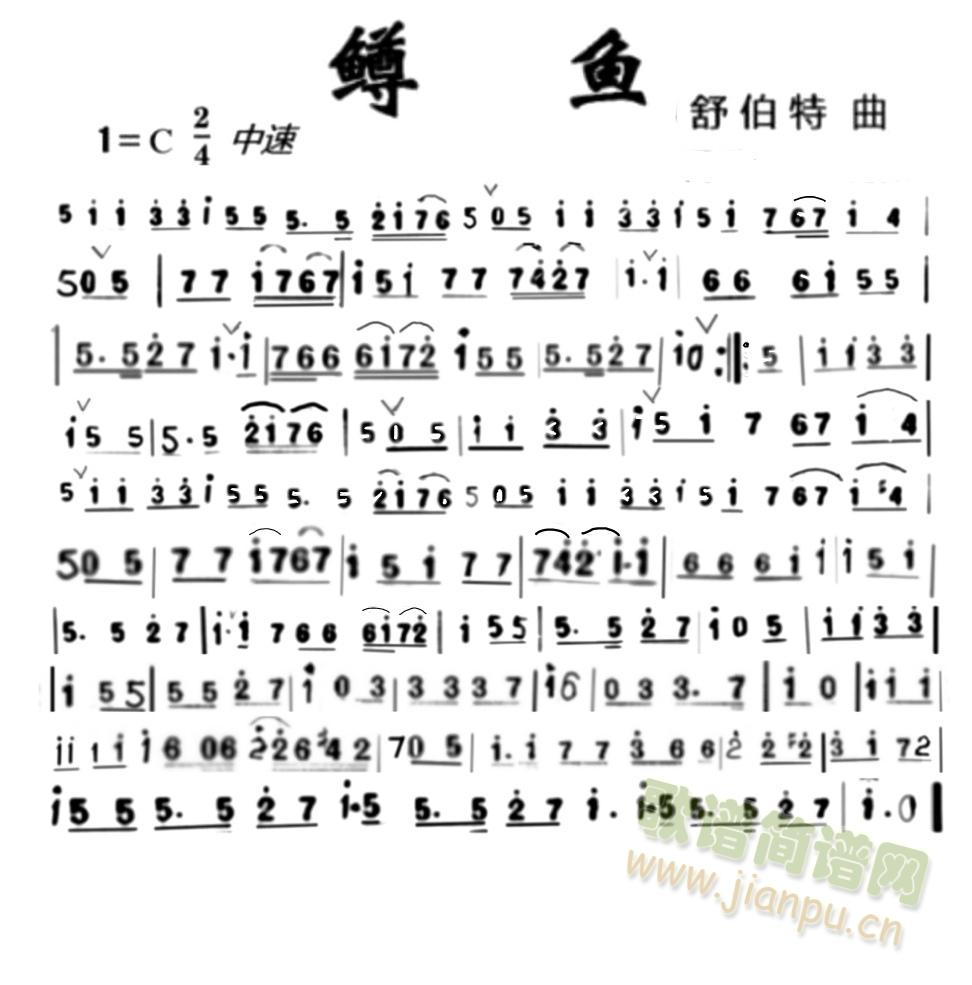 鳟鱼1