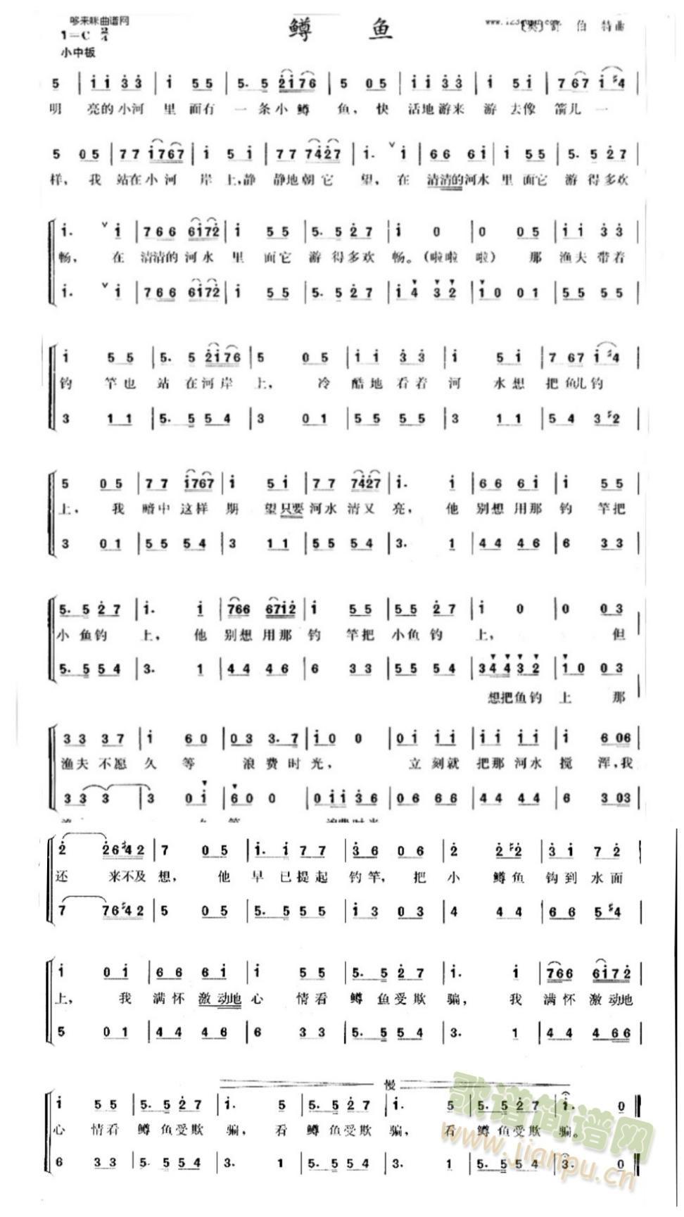 鳟鱼2