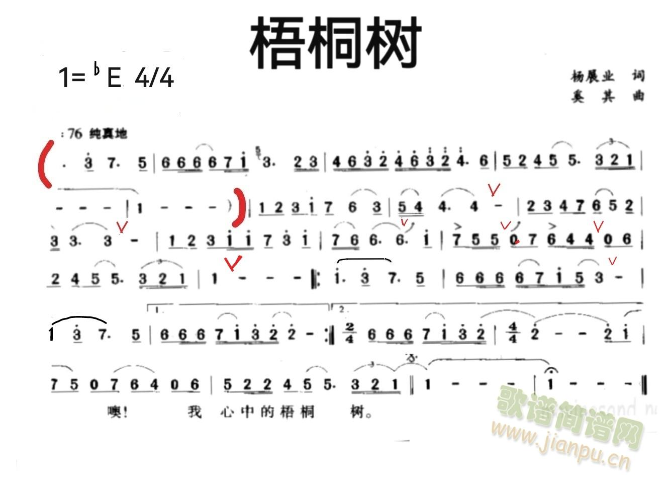 梧桐树1