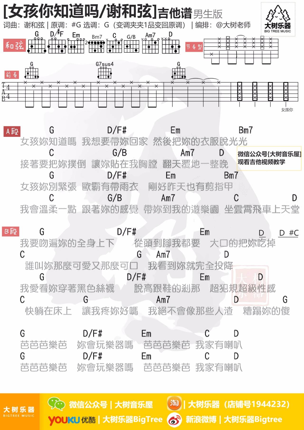 女孩你知道吗吉他谱 G调附视频_大树音乐屋编配_谢和弦1