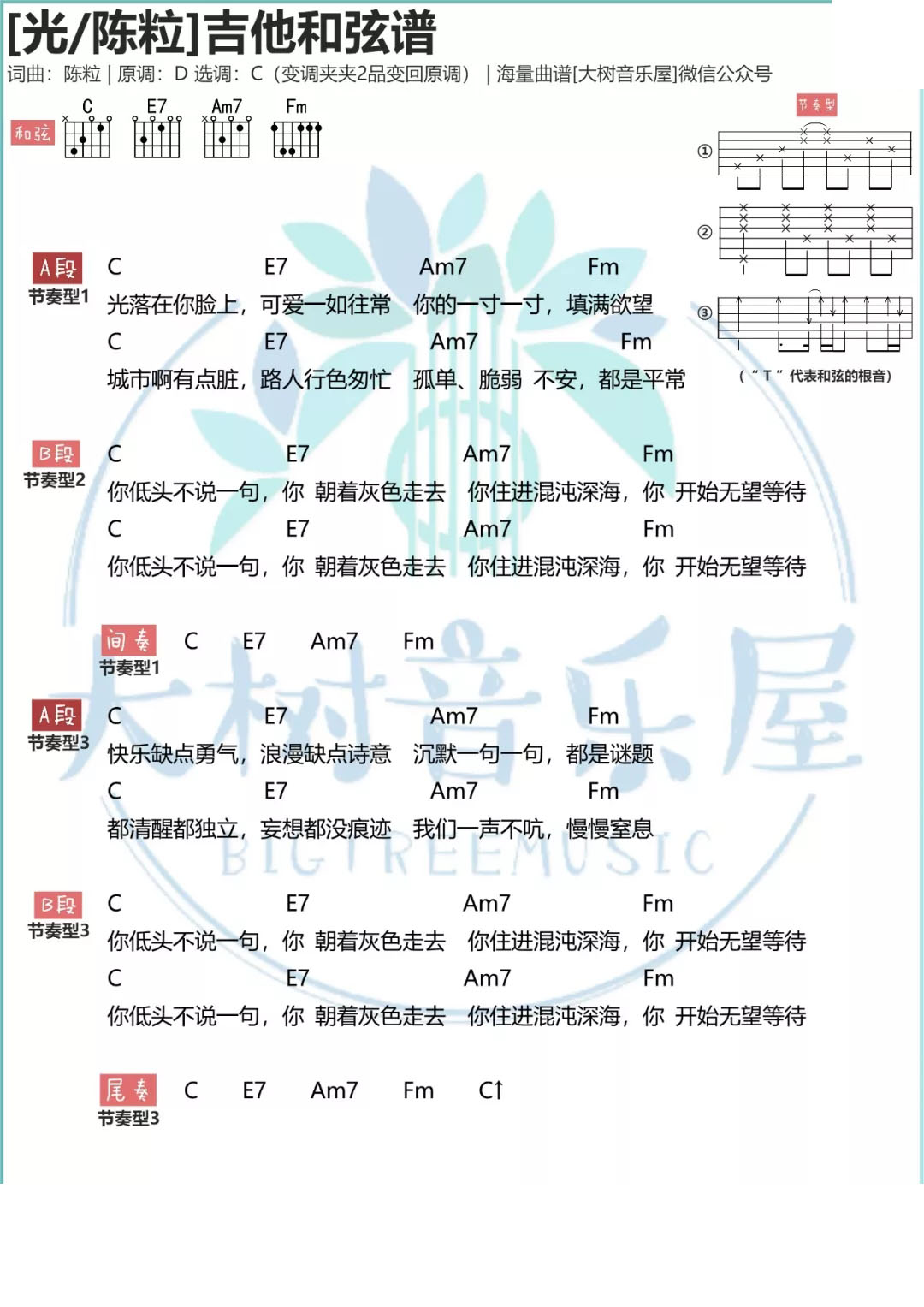 光吉他谱 C调附视频教学_大树音乐屋编配_陈粒1