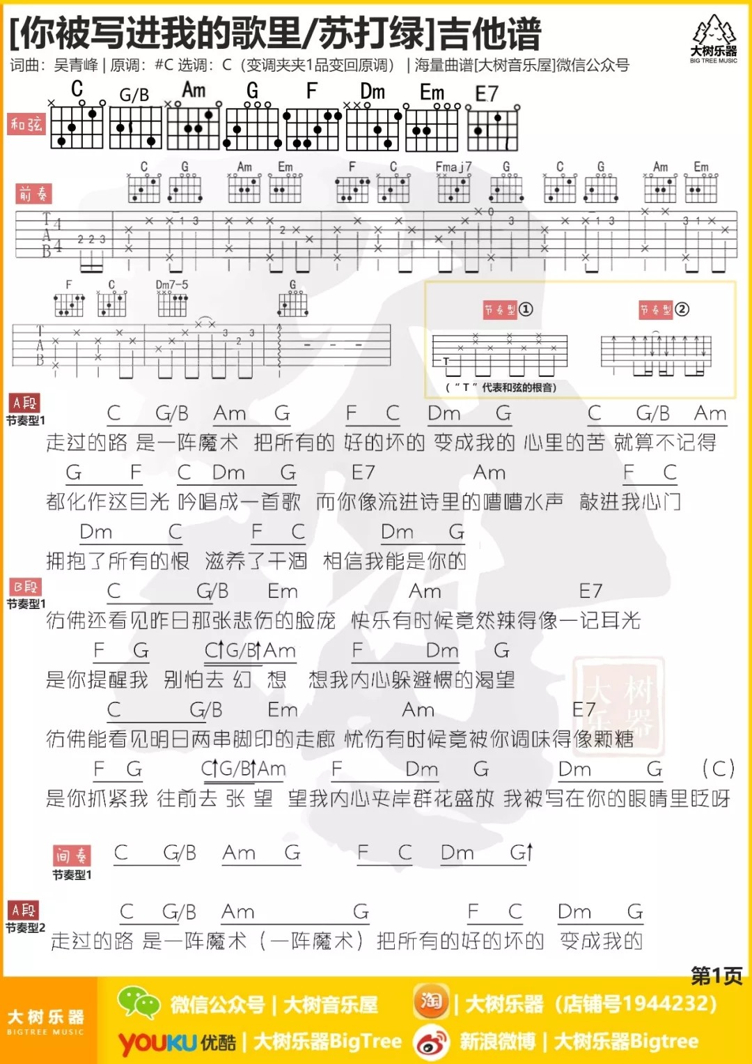 你被写进我的歌里吉他谱 C调_大树音乐屋编配_苏打绿1
