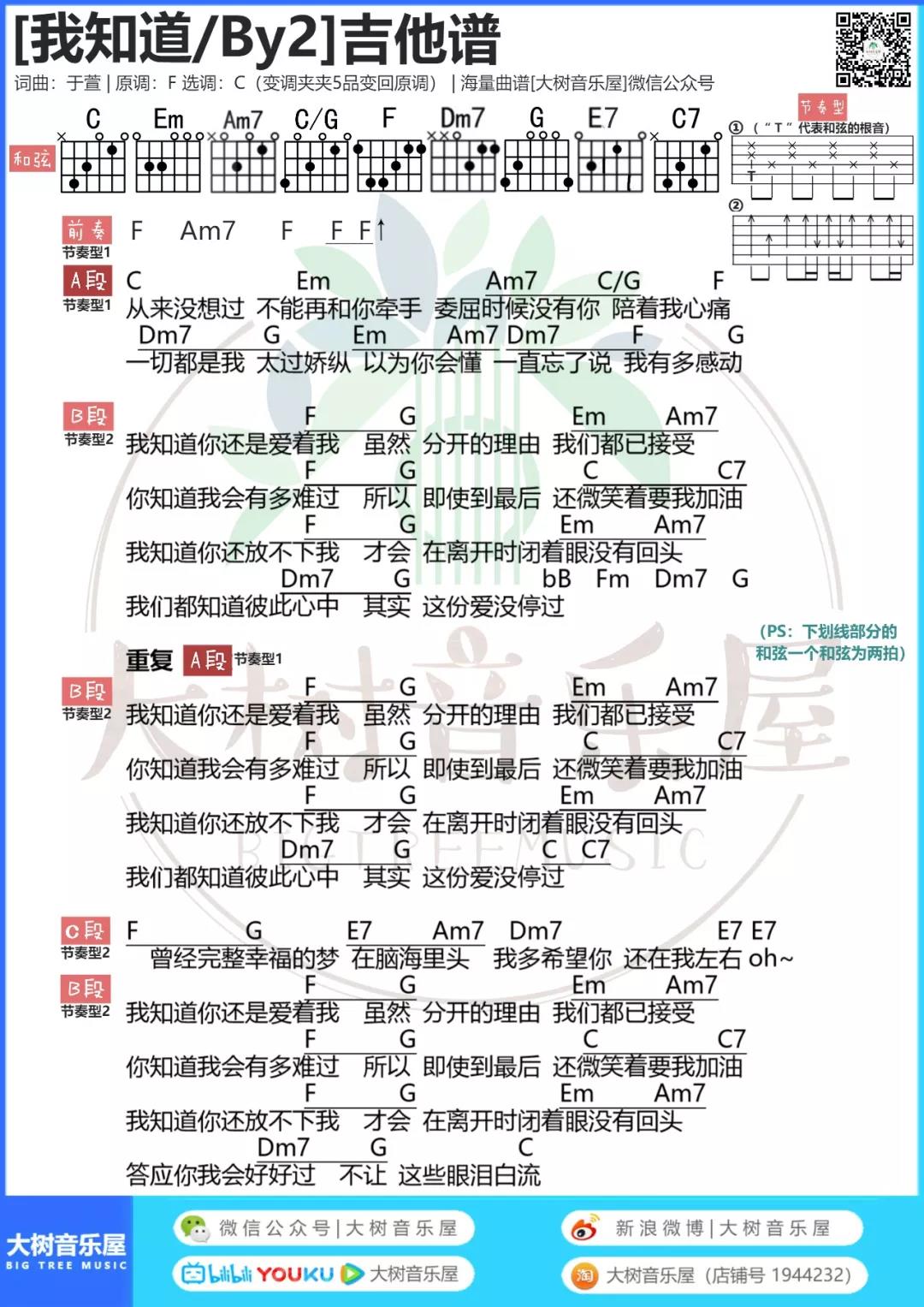 我知道吉他谱 C调和弦谱_大树音乐屋编配_BY21