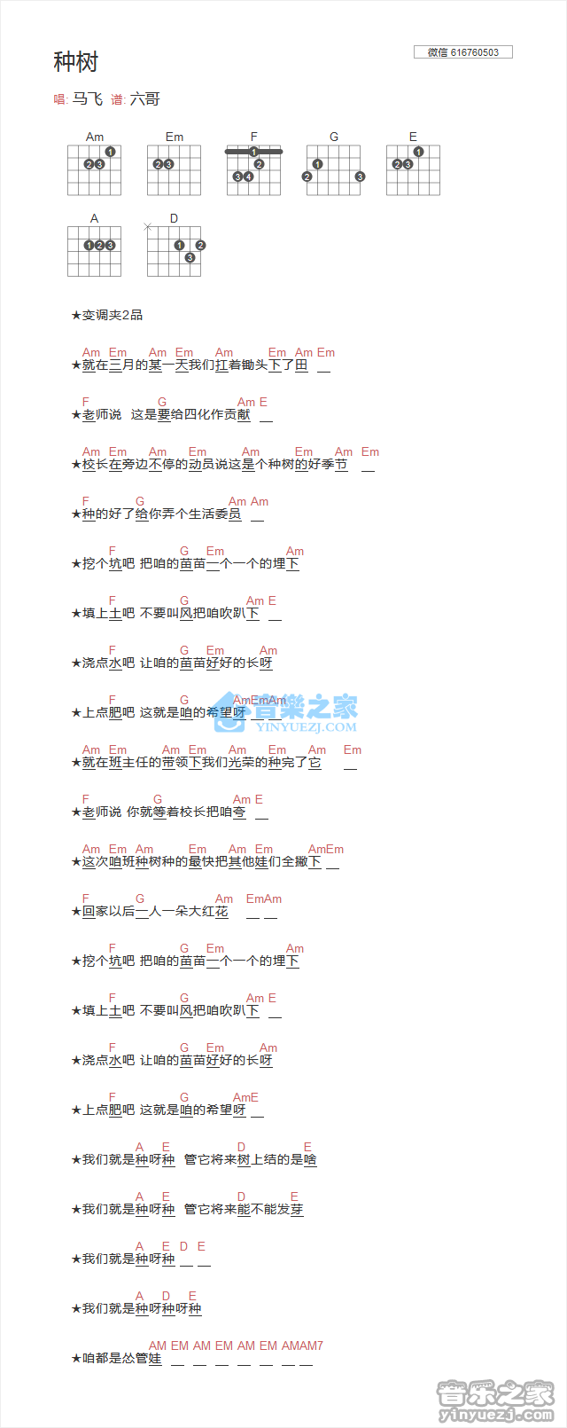 种树吉他谱 C调和弦谱_音乐之家编配_马飞1