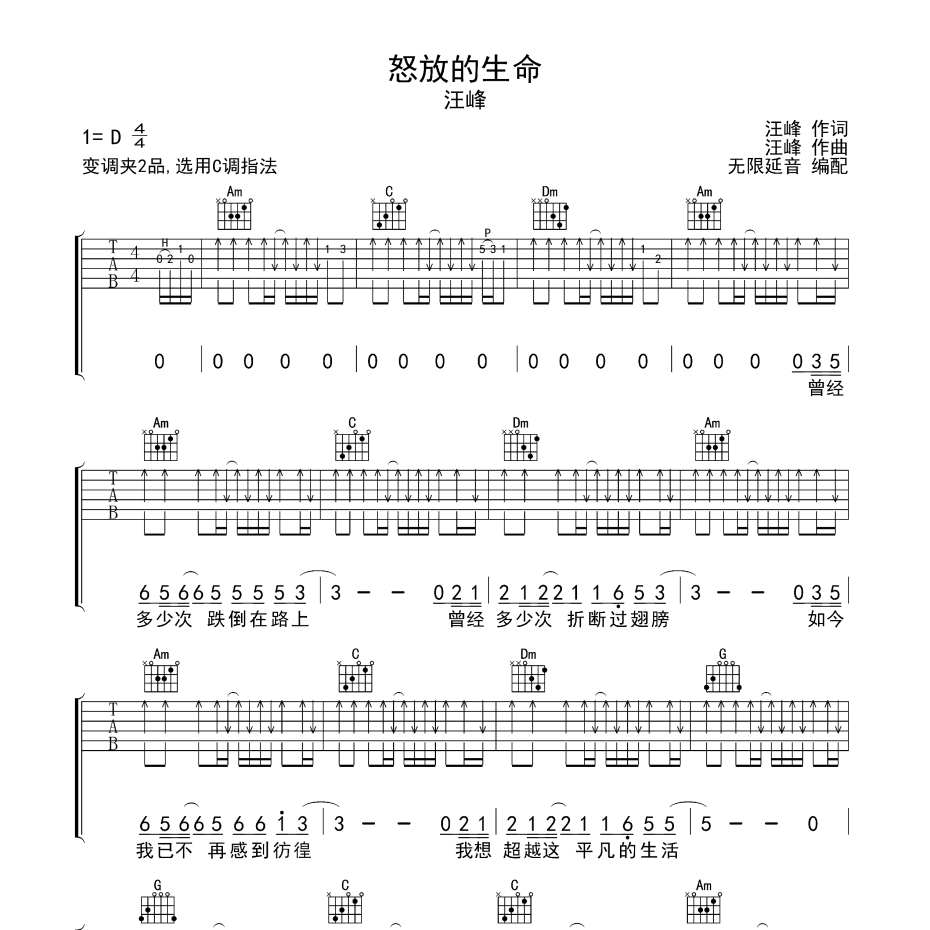 《怒放的生命吉他谱》D调_汪峰_无限延音编配_好听精编版本1
