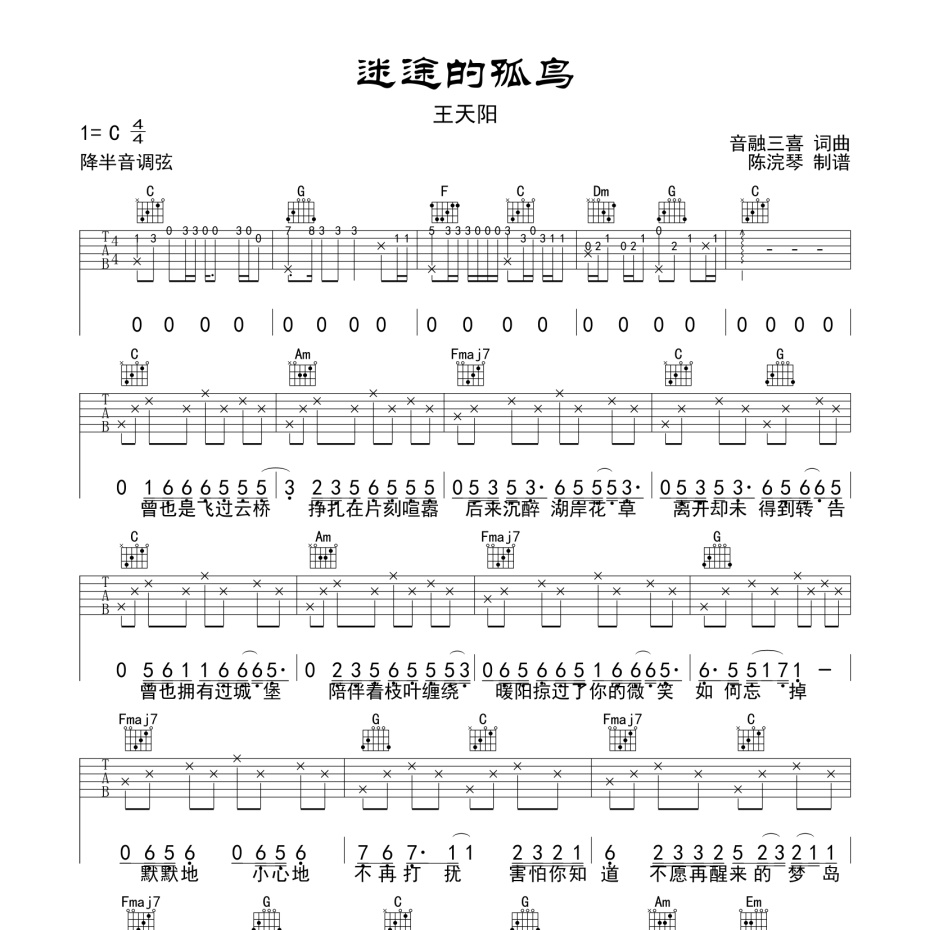 《迷途的孤鸟吉他谱》C调_王天阳_陈浣琴编配_好听和弦超简单1