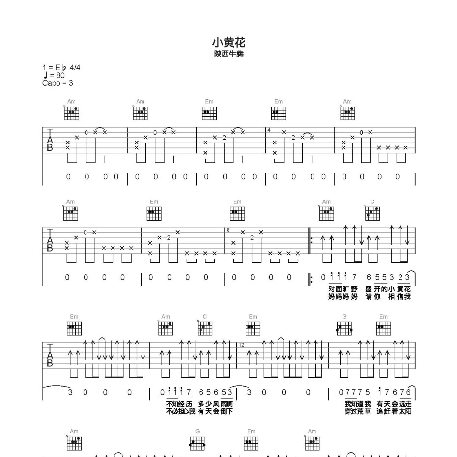 《小黄花吉他谱》C调_陕西牛犇_简单乐谱编配_实在太惊艳了1