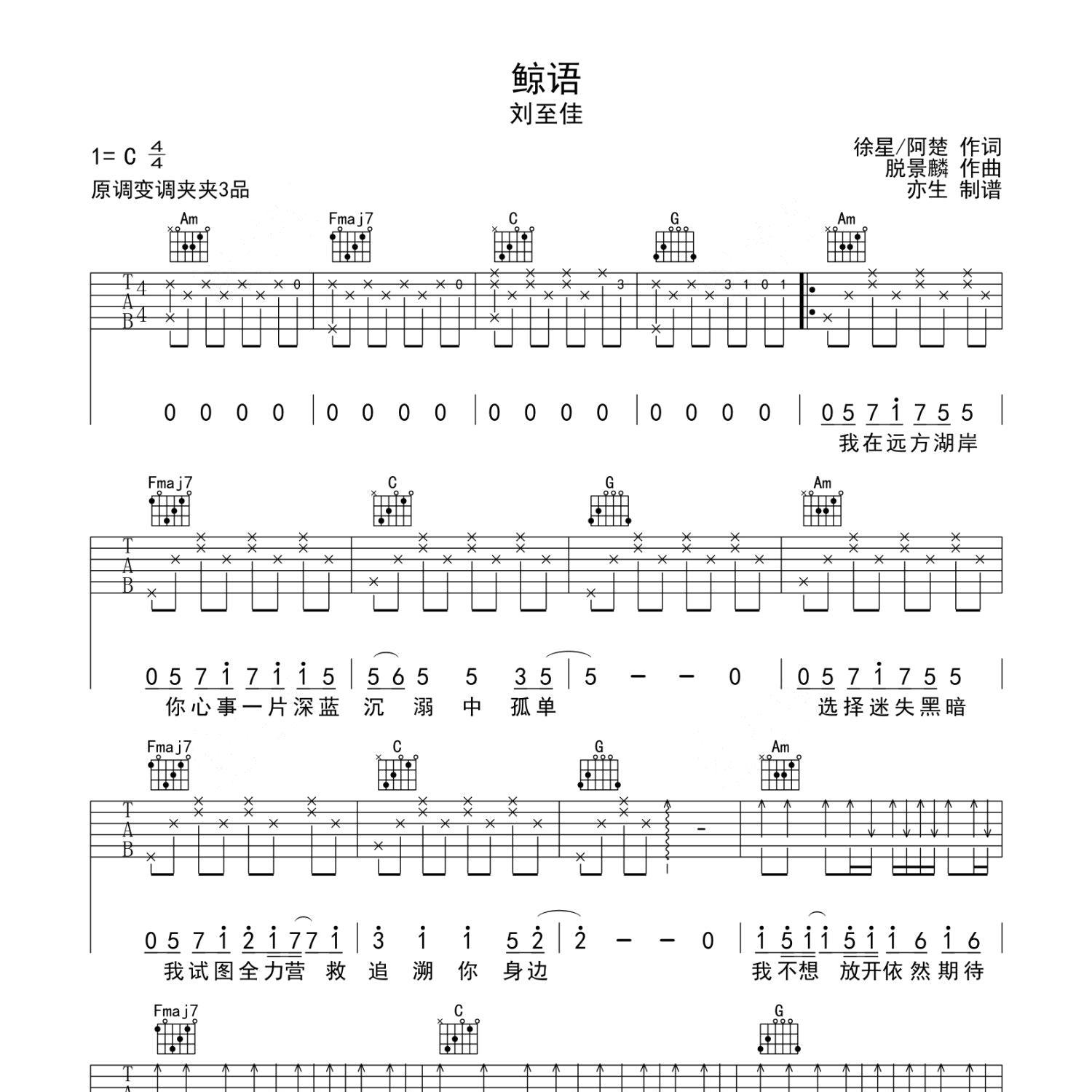 《鲸语吉他谱》C调_刘至佳_亦生编配_编配简直绝了1