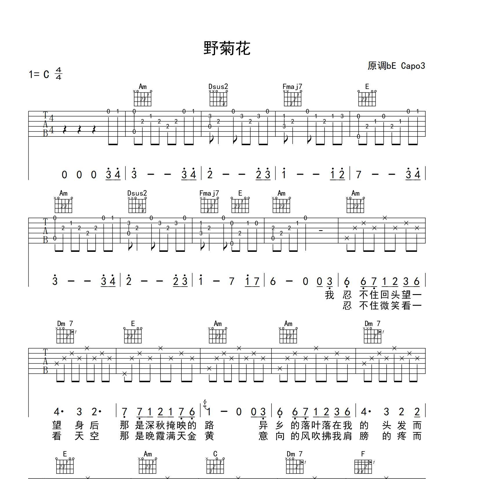 《野菊花吉他谱》C调_赵照_yuebuding编配_编配太经典了1